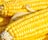 Sweetcorn